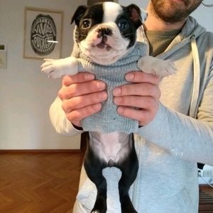 Meet your Posher, Brook